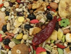 Johnson and Jeff's Low Sunfower Parrot Seed, Fruit & Nut Mix