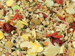 Top Quality Tidymix Parrot Seed & Fruit Mix